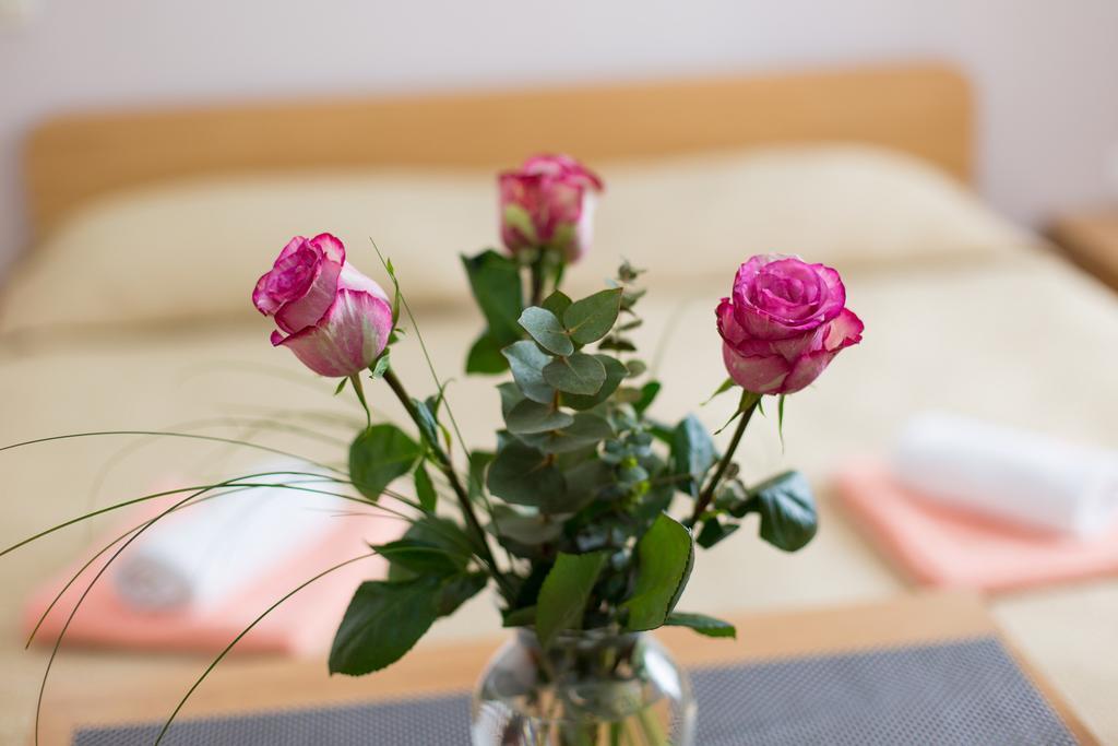 Nadija Studio Apartmani Krk Town Eksteriør billede